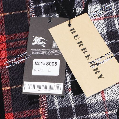 存在感のある プルオーバーパーカー  2020AW BURBERRYブランド コピー セール中