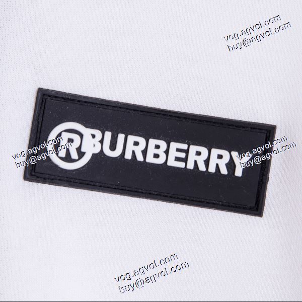 2色可選 上品上質 2020秋冬 バーバリー BURBERRYコピー プルオーバーパーカー 最安値に挑戦