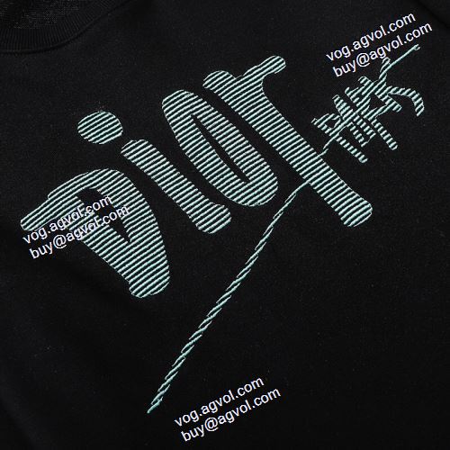 2色可選 落ち着いた感覚 DIOR 偽物 通販数に限りがある   特別人気感謝SALE 2020AW ディオールコピー