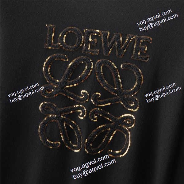 超目玉 2020秋冬 ロエベ LOEWEスーパーコピー 激安 プルオーバーパーカー