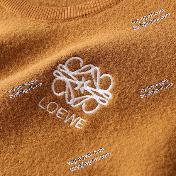 2020秋冬 おすすめ/オススメ プルオーバーパーカー ロエベ LOEWEブランドスーパーコピー