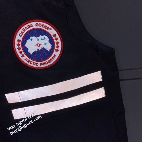 カナダグース Canada Goose ライトダウンジャケット 2021秋冬 カナダグースブランド 偽物 通販 シックスタイルに活躍 4色可選 スリムなシルエットデザイン 軽くて暖かい 