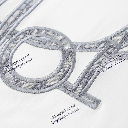  2色可選 半袖Tシャツ DIORスーパーコピー ディオール DIOR 魅力的 2021春夏 