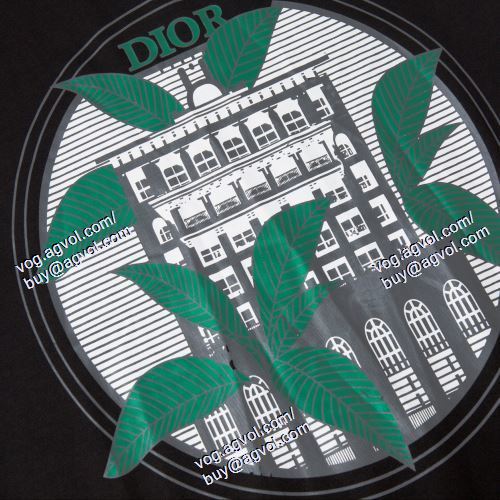 売れ筋のいい 2021春夏 ディオール DIOR 2色可選 半袖Tシャツ DIORブランド コピー