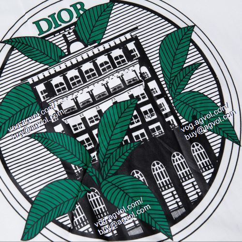  売れ筋のいい 2021春夏 ディオール DIOR 2色可選 半袖Tシャツ DIORブランド コピー