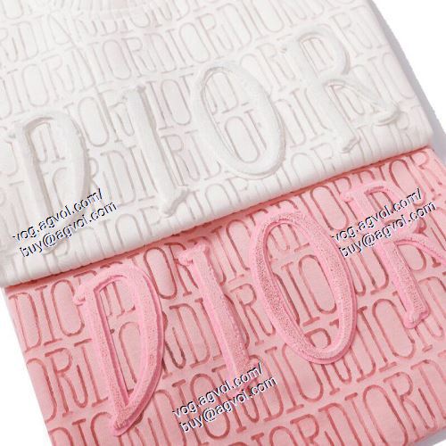  存在感のある ディオール DIOR 2021春夏 DIORブランド コピー 半袖Tシャツ 2色可選