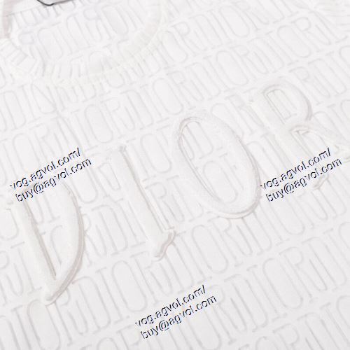  存在感のある ディオール DIOR 2021春夏 DIORブランド コピー 半袖Tシャツ 2色可選