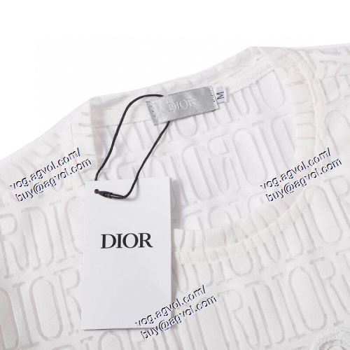  存在感のある ディオール DIOR 2021春夏 DIORブランド コピー 半袖Tシャツ 2色可選