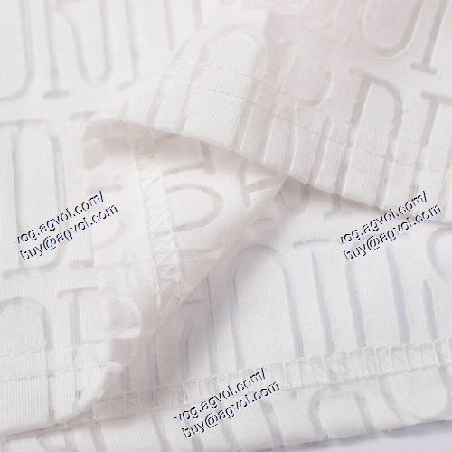  存在感のある ディオール DIOR 2021春夏 DIORブランド コピー 半袖Tシャツ 2色可選