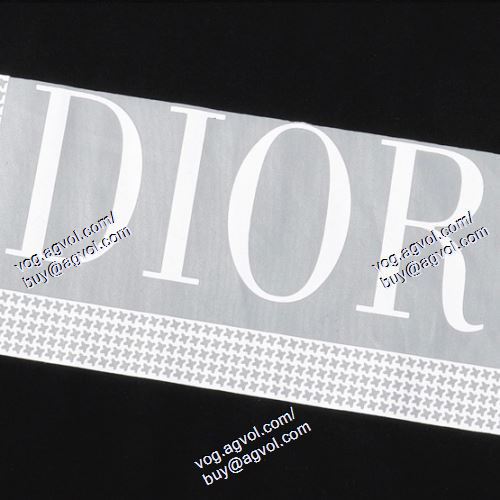  ディオール DIOR 半袖Tシャツ 2色可選 DIOR偽物ブランド 2021春夏