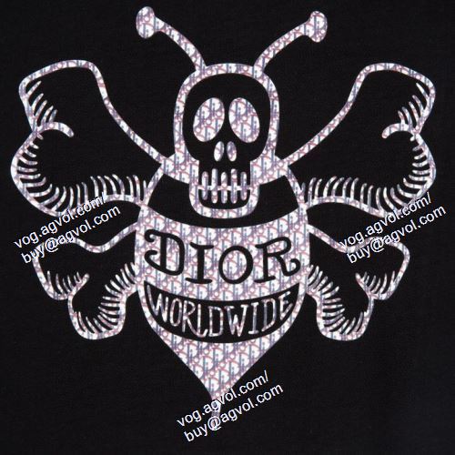  DIORスーパーコピー 激安 2021春夏 2色可選 半袖Tシャツ ～希少 ディオール DIOR 