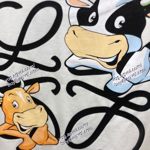  2021春夏 超レア ロエベ LOEWE 半袖Tシャツ 2色可選 LOEWEブランドコピー