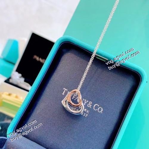 ティファニー Tiffany&Co ★安心★追跡付 2021春夏 ネックレス TIFFANY&COブランド 偽物 通販 ダブルハートのおしゃれなハートのネックレス