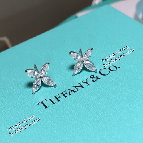 超人気美品◆ ティファニー Tiffany&Co 2021春夏 ピアス ティファニー スーパーコピー 激安  今一番HOTな新品 
