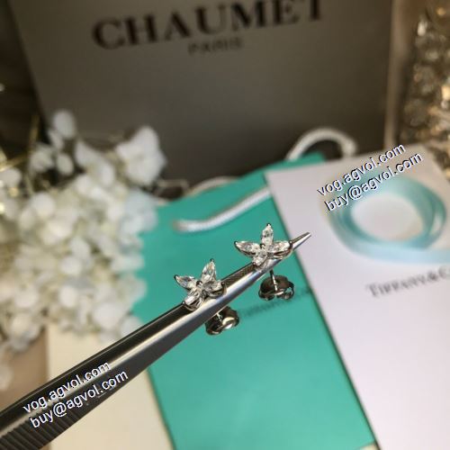 超人気美品◆ ティファニー Tiffany&Co 2021春夏 ピアス ティファニー スーパーコピー 激安  今一番HOTな新品