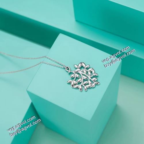 大人気再登場 ティファニー Tiffany&Co 高級感ある TIFFANY&COスーパーコピー 2021春夏 ネックレス