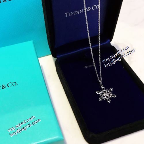 超限定即完売 ティファニー Tiffany&Co 2021春夏 ネックレス TIFFANY&COブランドスーパーコピー
