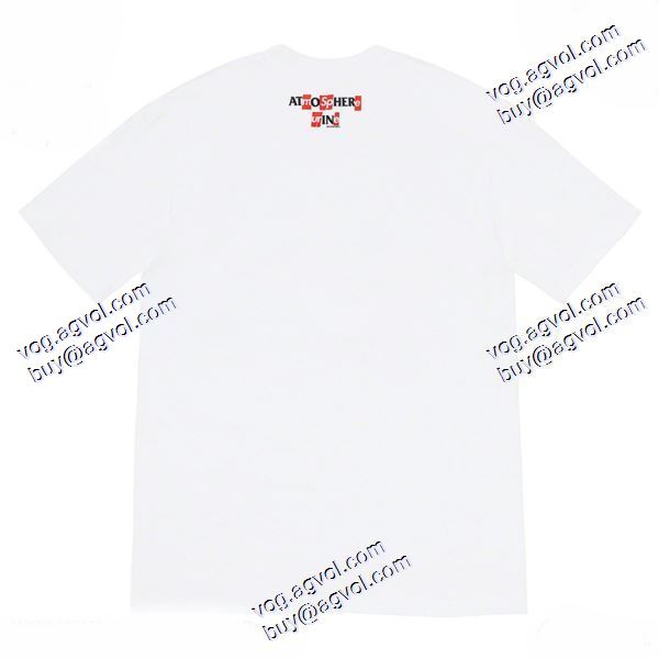 超レア  2020秋冬 シュプリーム Supreme ANTIHERO 連名ICE Tee 半袖Tシャツ シュプリームコピー ブランド 2色可選