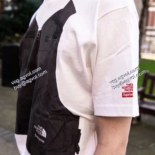 シュプリーム SUPREME 2021春夏 ～希少 シュプリームブランド 偽物 通販 Supreme x The North Face RTG Tee 半袖Tシャツ