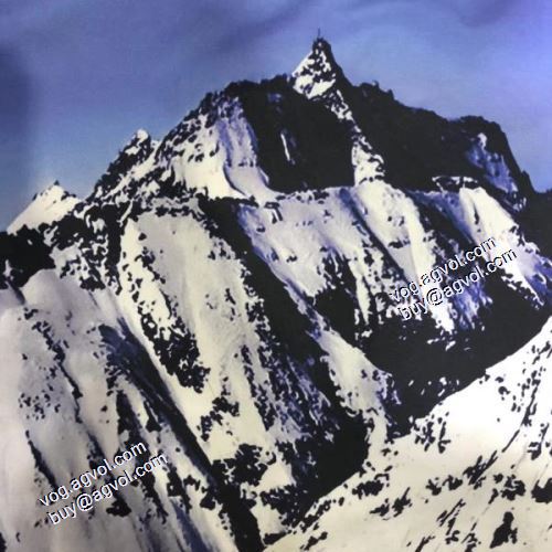 ランキング1位 シュプリーム supreme x the north face 2021秋冬 ダスター コート ブルゾン シュプリームスーパーコピー 激安