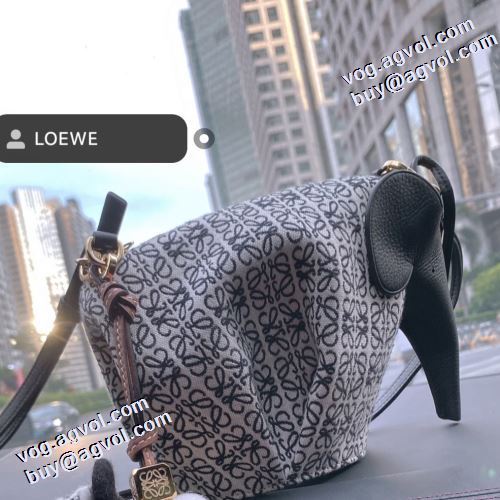 魅力ファッション 2色可選 ロエベコピー ブランド モノグラムマルチカラー 2021秋冬 ロエベ LOEWE 斜め掛けバッグ 活躍のバッグ