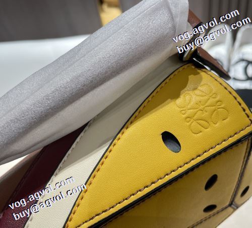 2021秋冬 ロエベ LOEWE 希少価値大！斜め掛けバッグ シンプル＋多機能 ロエベコピーブランド 高級本革
