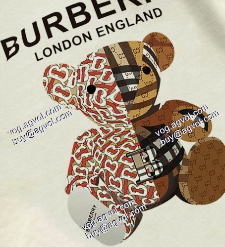 2色可選  プルオーバーパーカー 長く愛用できる  2021春夏 バーバリー BURBERRYコピーブランド