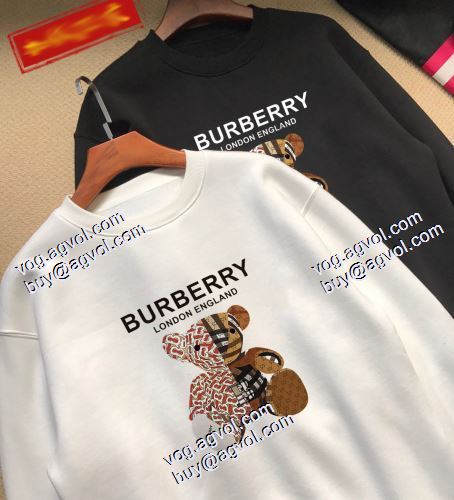 2色可選  プルオーバーパーカー 長く愛用できる  2021春夏 バーバリー BURBERRYコピーブランド