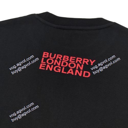柔らかな質感 注目のアイテム プルオーバーパーカー バーバリー偽物ブランド 2021秋冬 バーバリーBURBERRY 2色可選 秋の定番 