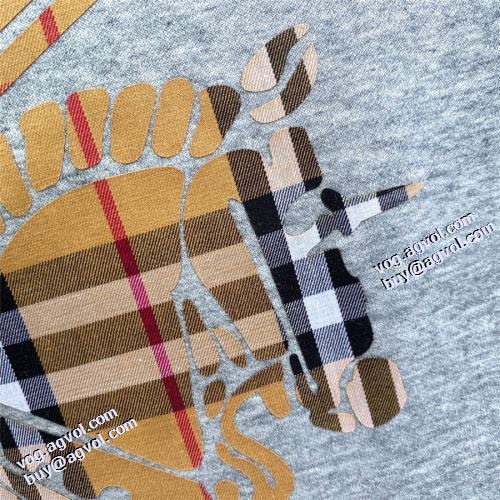 極上の着心地 2色可選 バーバリーブランドコピー 2021秋冬 大好評 バーバリー BURBERRY 存在感のある プルオーバーパーカー