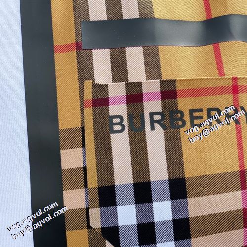 プルオーバーパーカー 2021秋冬 バーバリー BURBERRY サイズ豊富 バーバリーブランド コピー 2色可選 おしゃれさ抜群パーカ