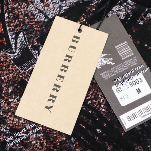 プルオーバーパーカー 2021秋冬 優しい色合い バーバリー BURBERRY 秋の定番 バーバリーコピー ブランド  おしゃれさ抜群パーカ プリント柄
