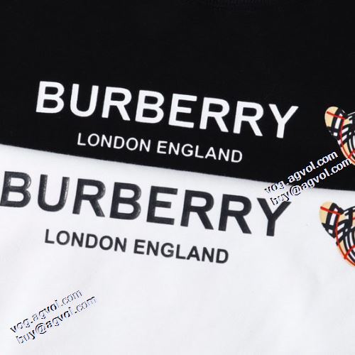 2色可選 プルオーバーパーカー 英字 バーバリー BURBERRY バーバリー偽物ブランド 圧倒的な高級感 スタイリッシュ 2021秋冬 リブ付