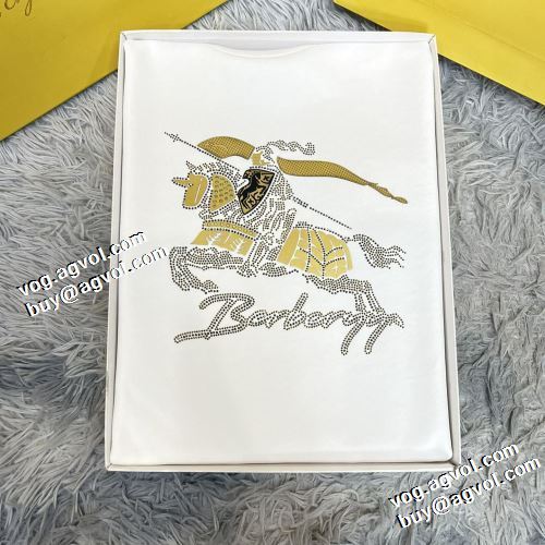 2021秋冬 バーバリー BURBERRY バーバリーコピーブランド 実用性に溢れるアイテム プルオーバーパーカー 2色可選 オシャレロゴパーカー