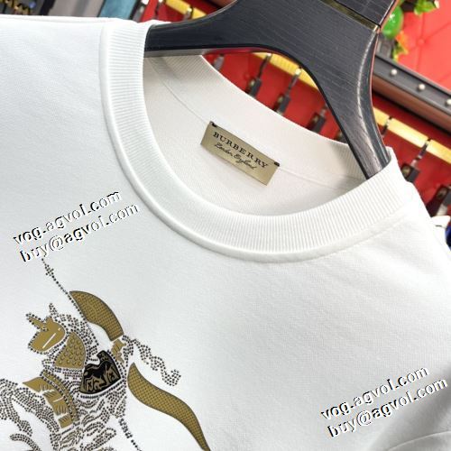 2021秋冬 バーバリー BURBERRY バーバリーコピーブランド 実用性に溢れるアイテム プルオーバーパーカー 2色可選 オシャレロゴパーカー
