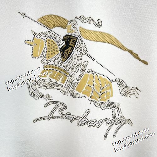 2021秋冬 バーバリー BURBERRY バーバリーコピーブランド 実用性に溢れるアイテム プルオーバーパーカー 2色可選 オシャレロゴパーカー