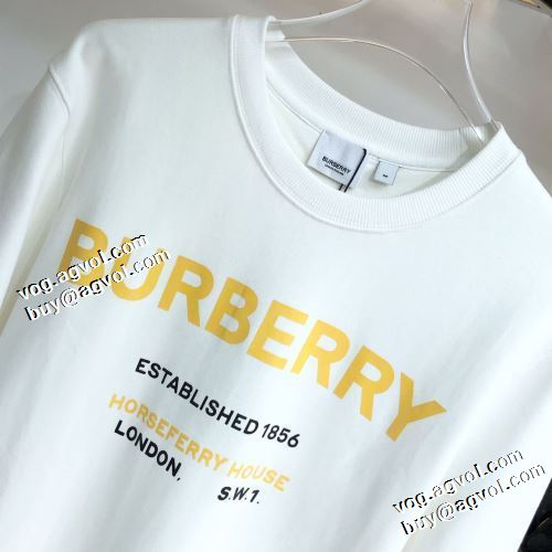 完成度の高い逸品 2022新作 バーバリー BURBERRY バーバリースーパーコピー ロゴパーカー プルオーバーパーカー 3色可選 存在感のある