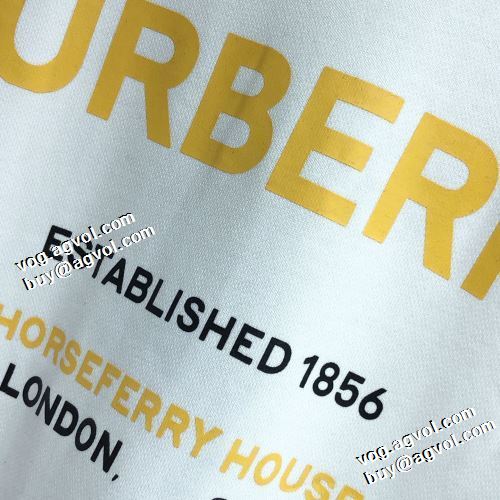 完成度の高い逸品 2022新作 バーバリー BURBERRY バーバリースーパーコピー ロゴパーカー プルオーバーパーカー 3色可選 存在感のある