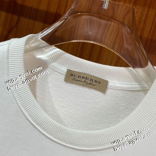 個性的 プリントパーカ 程よい厚み バーバリースーパーコピー 2021秋冬 バーバリー BURBERRY プルオーバーパーカー 2色可選