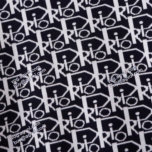ディオールブランド コピー 2021秋冬 プルオーバーパーカー ディオール DIOR プルオーバー 秋着用