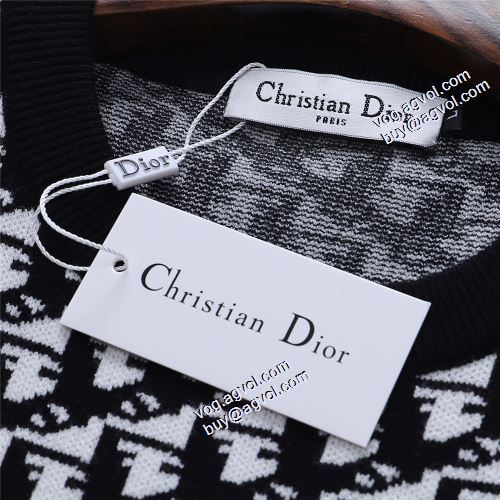 ディオールコピー 厚手の生地 プルオーバーパーカー 2021秋冬 お洒落に魅せる ディオール DIOR ロゴパーカー