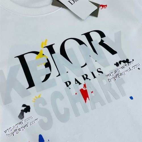 定番のアイテム 2021秋冬 プルオーバーパーカー ディオール DIOR ディオールブランド 偽物 通販 オリジナルプリント 3色可選