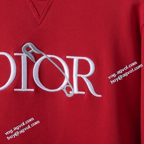 2年以上連続１位獲得 2021秋冬 オシャレロゴパーカー 飽きのこないデザイン ディオール DIOR ディオールブランド 偽物 通販 プルオーバーパーカー