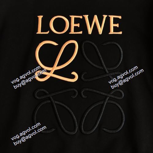 2021秋冬 大人気アイテム！入手困難 ロエベ LOEWE プルオーバーパーカー 防寒 ロエベプルオーバーパーカー コピー