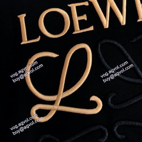 2021秋冬 大人気アイテム！入手困難 ロエベ LOEWE プルオーバーパーカー 防寒 ロエベプルオーバーパーカー コピー