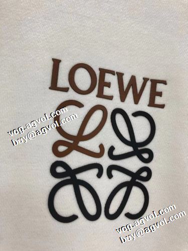 2色可選 厚手の生地 プルオーバーパーカー ロゴパーカー 2021秋冬 ロエベ LOEWE 個性的なデザ ロエベブランドコピー
