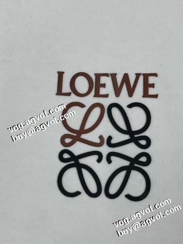 2021秋冬 ロエベ LOEWE 人気新品★超特価★ ハイネックパーカー 程よい厚み 防寒 ロエベスーパーコピー 2色可選 ビンテージ感ある