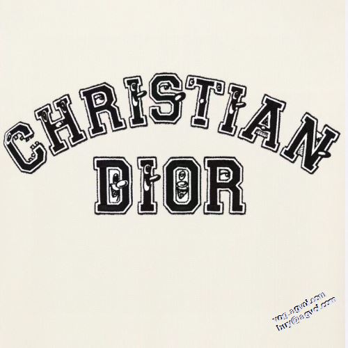 2022新作 ディオール DIOR パーカー ロゴパーカー 程よい厚み スタイリッシュ 先行販売 ディオールコピー