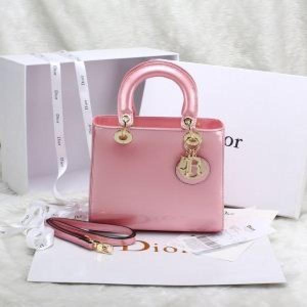 2026春夏 DIOR ディオール 完売品！手持ち&amp;ショルダー掛け6889.58.