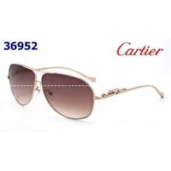 存在感◎2026 CARTIER カルティエ サングラス